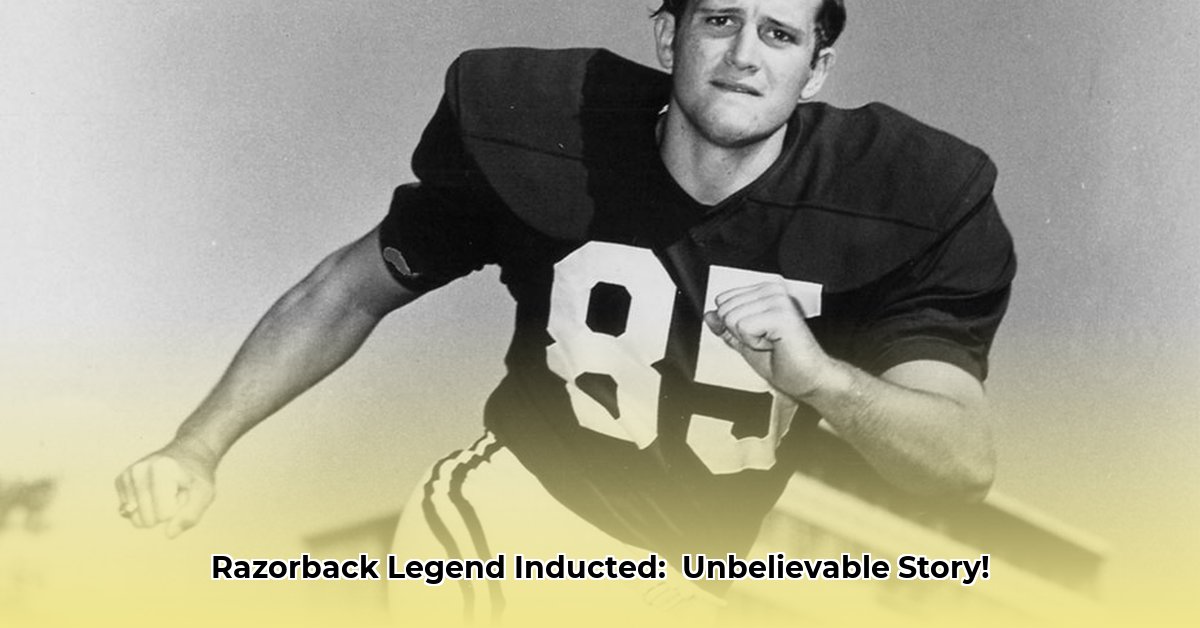 bruce-james-career-accomplishments